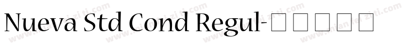 Nueva Std Cond Regul字体转换